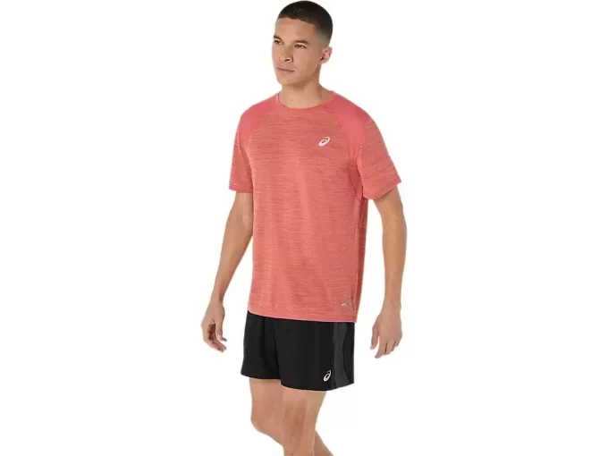 BLUZKA Z KRÓTKIM RĘKAWEM ROAD BLUZKA Z KRÓTKIM RĘKAWEM ROAD