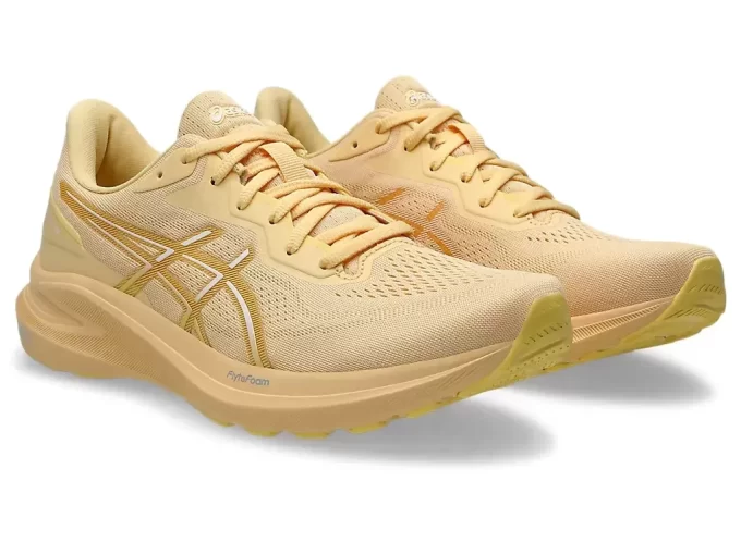 GT-1000 13 GT-1000 13