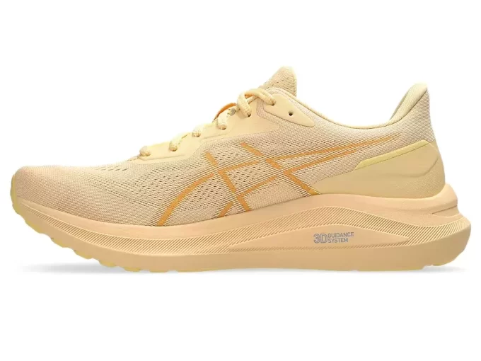 GT-1000 13 GT-1000 13