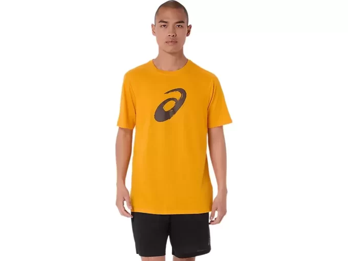 Koszulka z krótkim rękawem Paintbrush