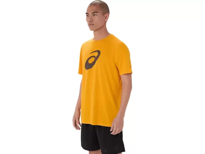 Koszulka z krótkim rękawem Paintbrush