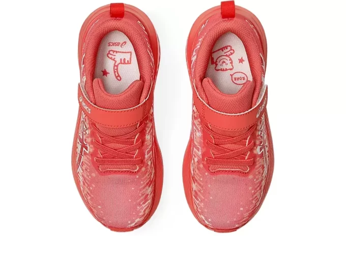 PRZEDSZKOLE PRE NOOSA TRI 16